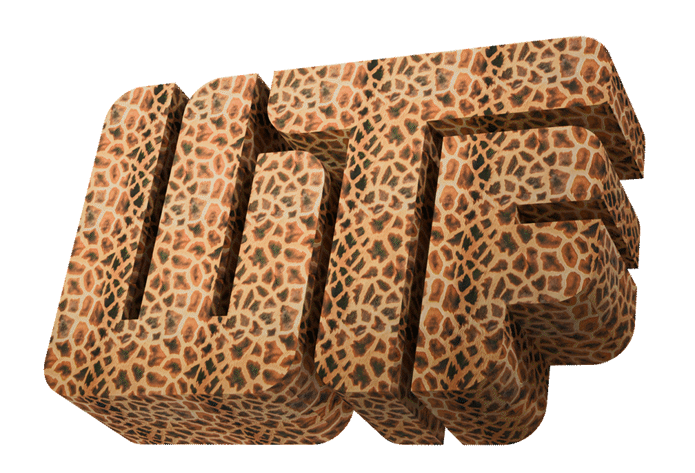 WTF